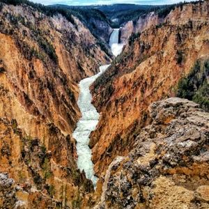 Meet your Posher, Tyrell